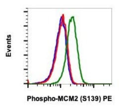 Invitrogen Phospho-MCM2 (Ser139) Recombinant Rabbit Monoclonal Antibody