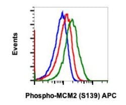 Phospho-MCM2 (Ser139) Recombinant Rabbit Monoclonal Antibody (MCM2S139-B12),