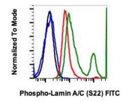 Phospho-Lamin A/C (Ser22) Recombinant Rabbit Monoclonal Antibody (LaminACS22-CF12),