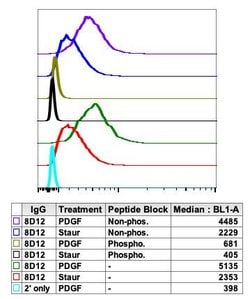Invitrogen Phospho-Ask1 (Thr838) Recombinant Rabbit Monoclonal Antibody