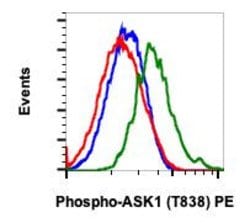 Invitrogen Phospho-Ask1 (Thr838) Recombinant Rabbit Monoclonal Antibody