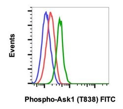 Invitrogen Phospho-Ask1 (Thr838) Recombinant Rabbit Monoclonal Antibody
