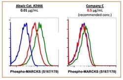 Invitrogen Phospho-MARCKS (Ser167, Ser170) Recombinant Rabbit Monoclonal