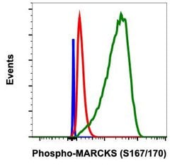 Invitrogen Phospho-MARCKS (Ser167, Ser170) Recombinant Rabbit Monoclonal