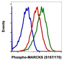 Invitrogen Phospho-MARCKS (Ser167, Ser170) Recombinant Rabbit Monoclonal