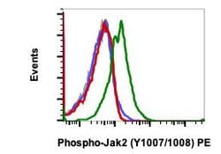 Phospho-Jak2 (Tyr1007, Tyr1008) Recombinant Rabbit Monoclonal Antibody
