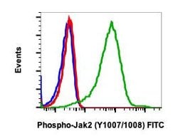 Invitrogen Phospho-Jak2 (Tyr1007, Tyr1008) Recombinant Rabbit Monoclonal