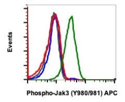 Phospho-Jak2 (Tyr1007, Tyr1008) Recombinant Rabbit Monoclonal Antibody