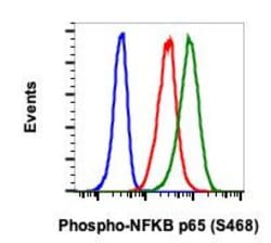 Invitrogen Phospho-NFKB p65 (Ser468) Recombinant Rabbit Monoclonal Antibody