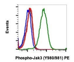 Invitrogen Phospho-Jak3 (Tyr980, Tyr981) Recombinant Rabbit Monoclonal