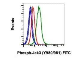Invitrogen Phospho-Jak3 (Tyr980, Tyr981) Recombinant Rabbit Monoclonal