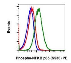 Invitrogen Phospho-NFKB p65 (Ser536) Recombinant Rabbit Monoclonal Antibody