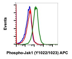 Invitrogen Phospho-Jak1 (Tyr1034, Tyr1035) Recombinant Rabbit Monoclonal