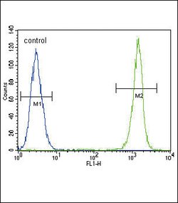 Invitrogen ACTA1 Monoclonal Antibody (337CT30.10.1) 400 &mu;L; Unconjugated:Antibodies,