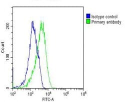 Invitrogen RAB23 Monoclonal Antibody (427CT2.1.1) 400 &mu;L; Unconjugated:Antibodies,