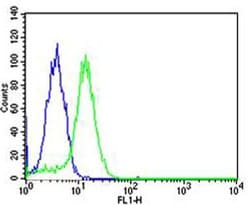 Invitrogen USP11 Monoclonal Antibody (1220CT620.193.189) 400 &mu;L; Unconjugated:Antibodies,