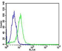 Invitrogen PPAR alpha Monoclonal Antibody (1331CT894.186.143) 400 &mu;L;