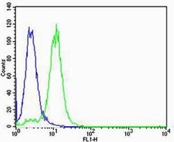 Invitrogen VWF Monoclonal Antibody (907CT12.1.9) 400 &mu;L; Unconjugated:Antibodies,