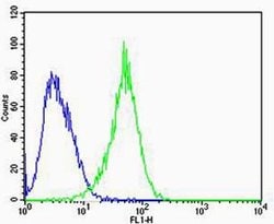 Invitrogen RAC1 Monoclonal Antibody (1301CT276.121.104) 400 &mu;L; Unconjugated:Antibodies,