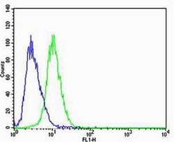 CBX8 Monoclonal Antibody (1214CT171.154.107):Antibodies, Monoclonal