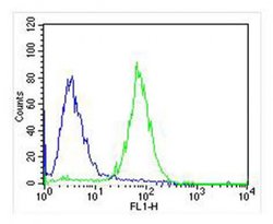 Invitrogen TrkB Monoclonal Antibody (1446CT494.85.83.49) 400 &mu;L; Unconjugated:Antibodies,