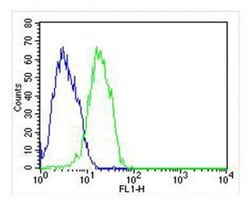 Invitrogen FHIT Monoclonal Antibody (1093CT23.1.2) 400 &mu;L; Unconjugated:Antibodies,