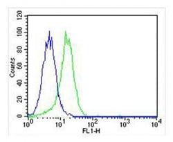 Invitrogen CSF1R Monoclonal Antibody (1486CT328.53.37) 400 &mu;L | Buy Online | Invitrogen&trade; | Fisher Scientific