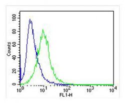 Invitrogen IRF3 Monoclonal Antibody (1522CT766.58.24) 200 &mu;L; Unconjugated:Antibodies,