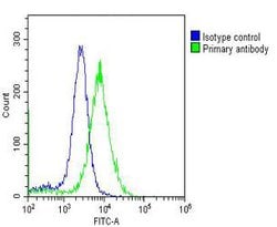 Invitrogen MCM3 Monoclonal Antibody (1593CT377.41.73) 200 &mu;L; Unconjugated:Antibodies,