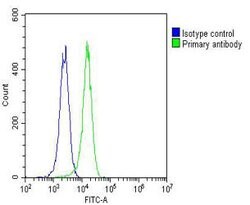 Invitrogen ETS1 Monoclonal Antibody (1601CT512.35.61) 200 &mu;L; Unconjugated:Antibodies,