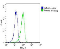 Invitrogen RYK Monoclonal Antibody (1671CT575.42.61) 200 &mu;L; Unconjugated:Antibodies,