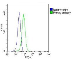 Invitrogen RAP1 Monoclonal Antibody (1664CT564.52.88) 200 &mu;L; Unconjugated:Antibodies,
