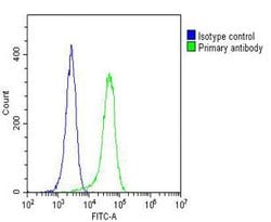 Invitrogen GARS Monoclonal Antibody (1641CT125.1.1) 200 &mu;L; Unconjugated:Antibodies,