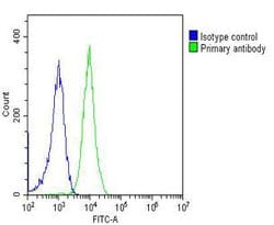 Invitrogen PGK1 Monoclonal Antibody (1086CT10.2.1) 200 &mu;L; Unconjugated:Antibodies,