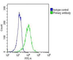 Invitrogen RAB27B Monoclonal Antibody (1596CT245.254.49) 200 &mu;L; Unconjugated:Antibodies,
