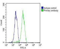 Invitrogen TIP47 Monoclonal Antibody (1651CT490.66.85) 200 &mu;L; Unconjugated:Antibodies,