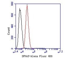 Invitrogen DFNA5 Monoclonal Antibody (A1H2) 100 &mu;L; Unconjugated:Antibodies,