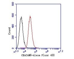 Invitrogen CEACAM6 Monoclonal Antibody (A1E2) 100 &mu;L; Unconjugated:Antibodies,