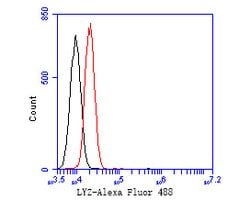 Invitrogen Lysozyme Monoclonal Antibody (A5A9) 100 &mu;L; Unconjugated:Antibodies,