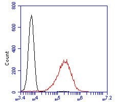 Invitrogen CD45 Recombinant Rabbit Monoclonal Antibody (JE03-05) 100 &mu;L;