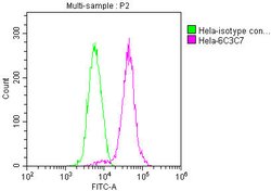 Invitrogen PKM Monoclonal Antibody (6C3C7) 100 &mu;L; Unconjugated:Antibodies,
