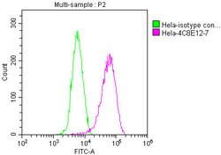 Invitrogen PKM Monoclonal Antibody (4C8E12) 100 &mu;L; Unconjugated:Antibodies,