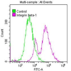 Invitrogen ITGB1 Recombinant Rabbit Monoclonal Antibody (32A10) 100 &mu;L;