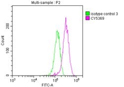 Invitrogen LGR5 Recombinant Rabbit Monoclonal Antibody (4H8) 100 &mu;L;
