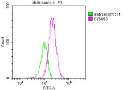 Invitrogen Complement C3 Recombinant Rabbit Monoclonal Antibody (4D12)