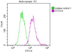 Invitrogen Alix Recombinant Rabbit Monoclonal Antibody (7E9) 100 &mu;L | Buy Online | Invitrogen&trade; | Fisher Scientific