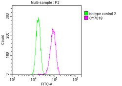 Invitrogen Dynamin 2 Recombinant Rabbit Monoclonal Antibody (1D8) 100 &mu;L;