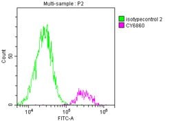 Invitrogen SDHB Recombinant Rabbit Monoclonal Antibody (7D12) 100 &mu;L;