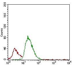 Invitrogen Tartrate Resistant Acid Phosphatase Monoclonal Antibody (5C5E7)