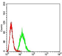 Invitrogen ACVR1 Monoclonal Antibody (2C1E8) 100 &mu;g; Unconjugated:Anticorps,